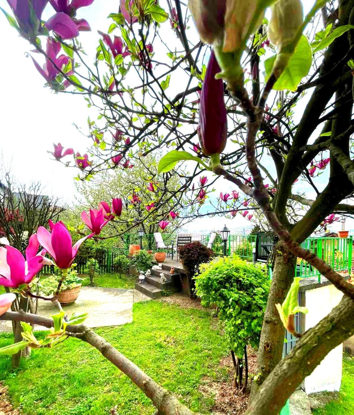 塞拉耶佛Garden Free Parking公寓 外观 照片